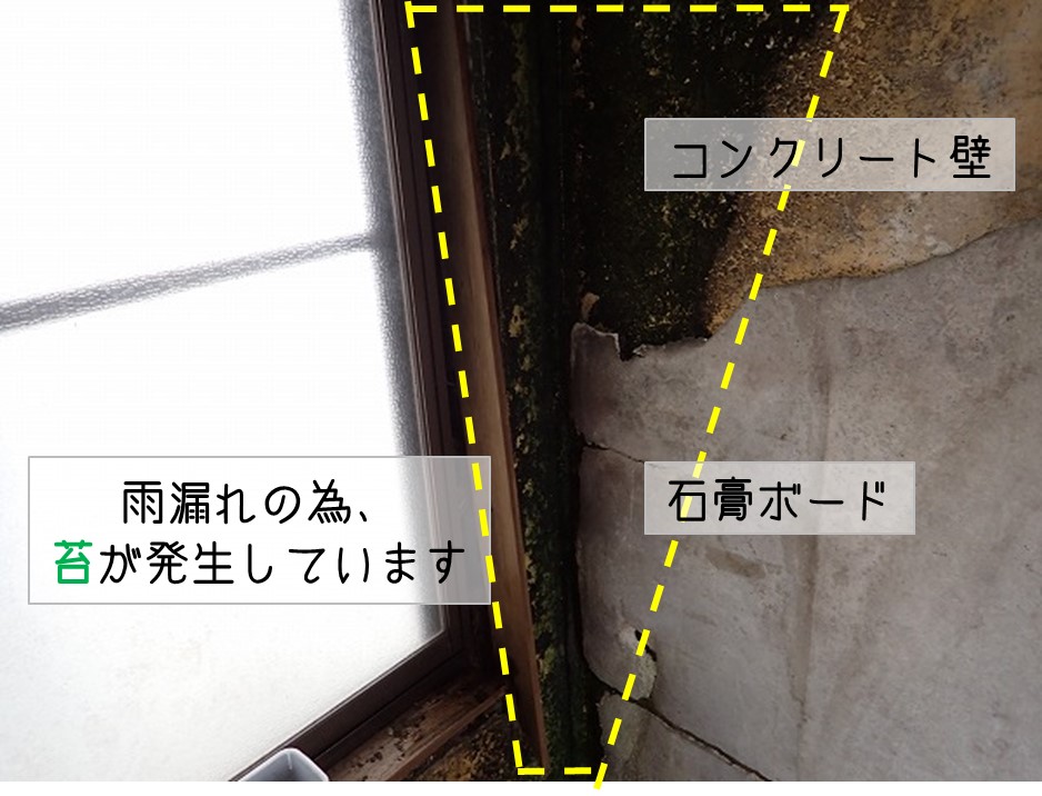 呉市　コンクリート屋根　雨漏り調査　苔